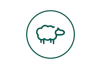 ASCHEEP